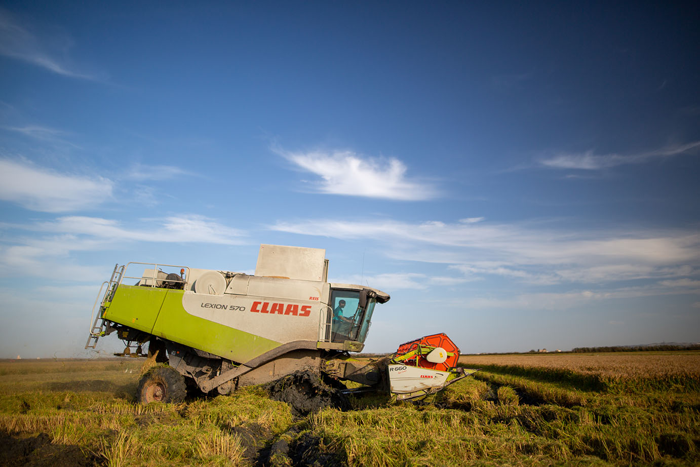 Agricultores locales
